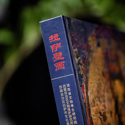 西藏壁画全集：拉萨壁画/9787030852465 商品图3