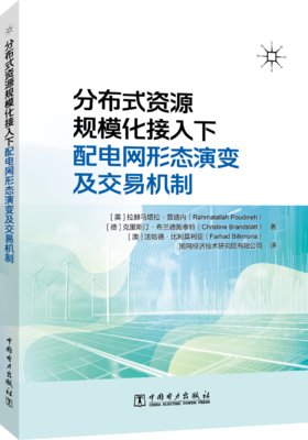 分布式资源规模化接入下配电网形态演变及交易机制