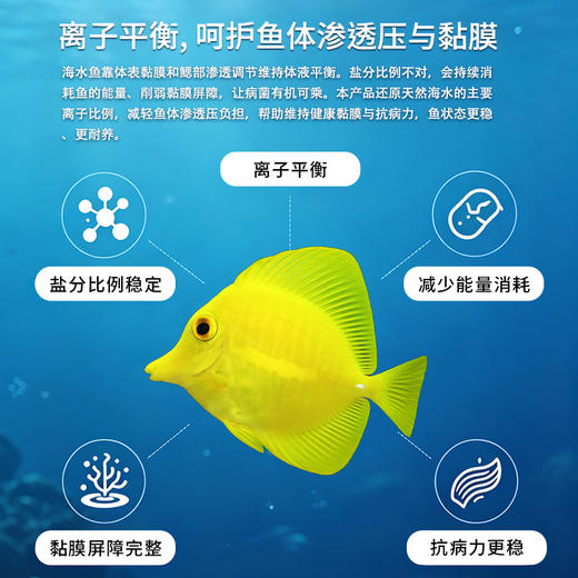 蓝海自营鱼盐 商品图2