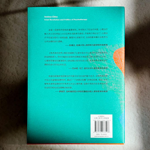焦虑者的世界 薄荷实验 张鹂 心理咨询 摆脱焦虑自助书 商品图2