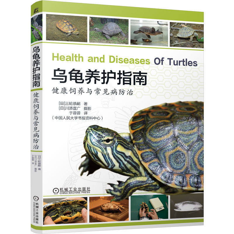 乌龟养护指南 健康饲养与常见病防治 三轮恭嗣 乌龟百科 乌龟饲养 乌龟品种 宠物龟养护 龟病防治 养龟教程书籍