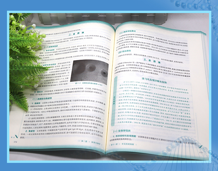 西医02_05.jpg