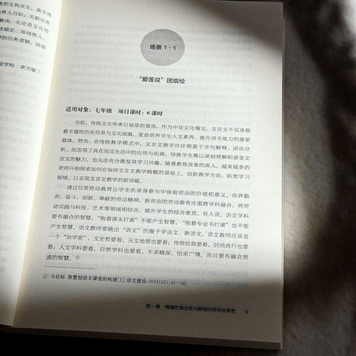 跨学科实践的境脉设计与创意实施 金悦 中小学案例 商品图8