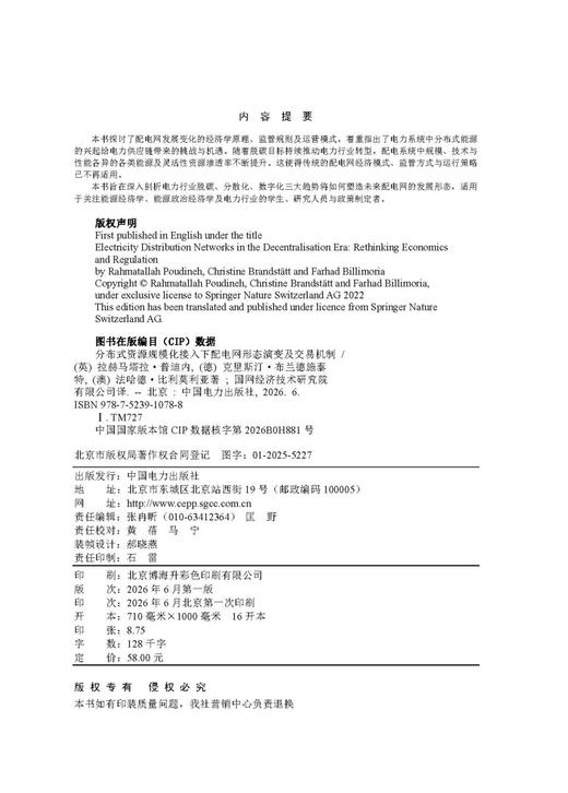 分布式资源规模化接入下配电网形态演变及交易机制 商品图3