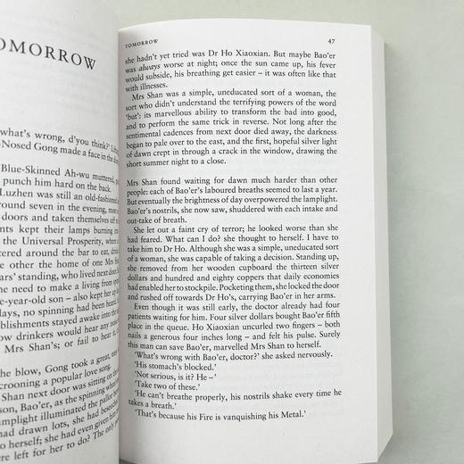 阿Q正传 英文原版小说 The Real Story of Ah-Q and Other Tales of China 青少年阅读书籍 英文版进口原版英语书 鲁迅 商品图3