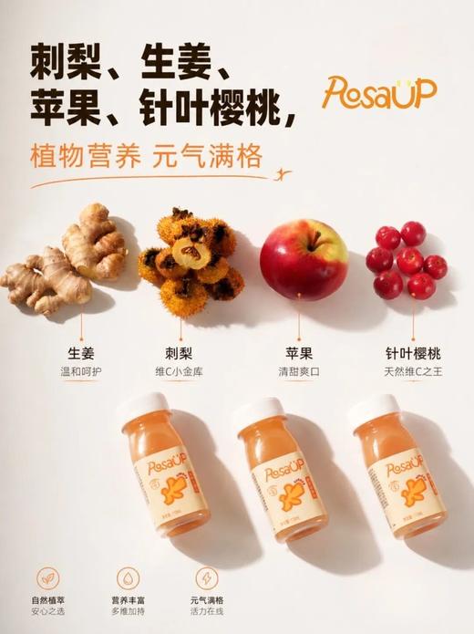 Rosa UP 刺梨生姜汁 | 贵州山野的一口酸甜辛暖，贵州刺梨× 生姜 × 苹果 × 针叶樱桃 商品图4