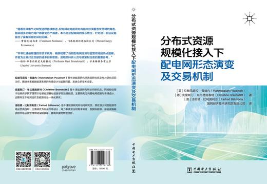 分布式资源规模化接入下配电网形态演变及交易机制 商品图2