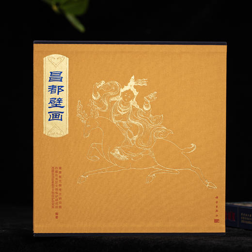 西藏壁画全集：昌都壁画/9787030852458 商品图1