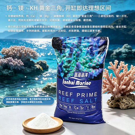 蓝海自营珊瑚盐 商品图1
