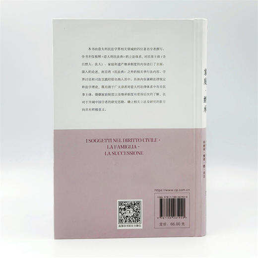 民事主体·家庭·继承(意大利民商法丛书) 商品图3