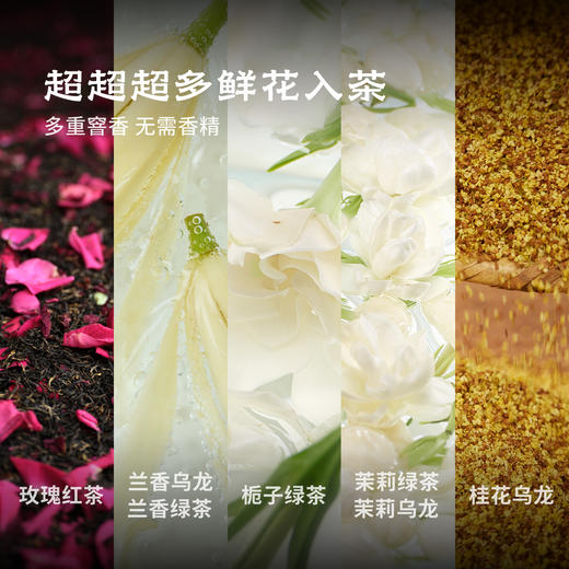 【茶品上新】花香冷萃茶集2.0 | 2.5g*15包/盒 | 多口味组合 | 自在茶系列（4款未出道新口味） 商品图1