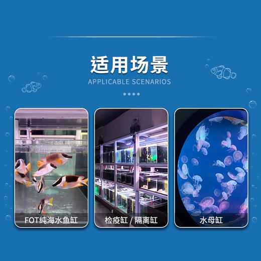 蓝海自营鱼盐 商品图8