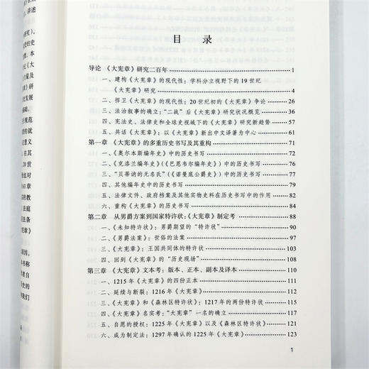 发明宪法：《大宪章》的历史与神话 商品图6