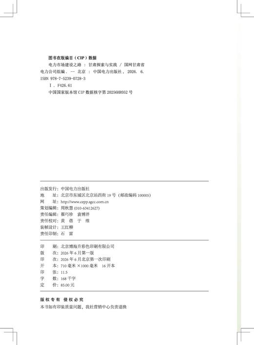 电力市场建设之路——甘肃探索与实践 商品图1