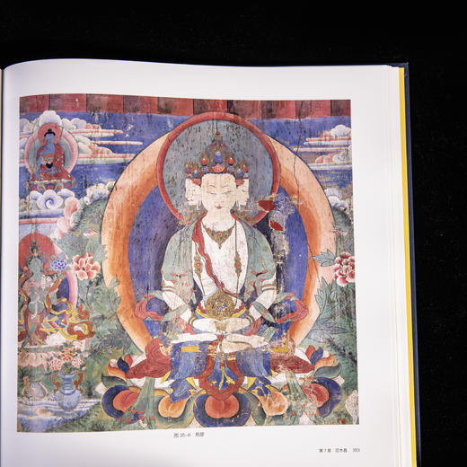 西藏壁画全集：拉萨壁画/9787030852465 商品图14