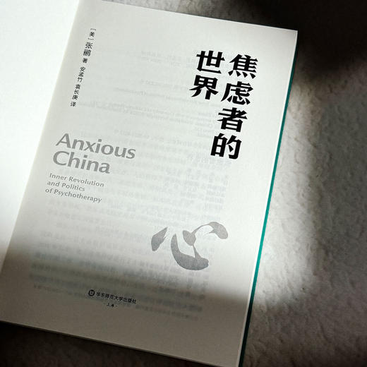 焦虑者的世界 薄荷实验 张鹂 心理咨询 摆脱焦虑自助书 商品图5