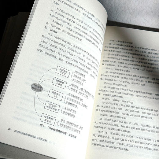 跨学科实践的境脉设计与创意实施 金悦 中小学案例 商品图10