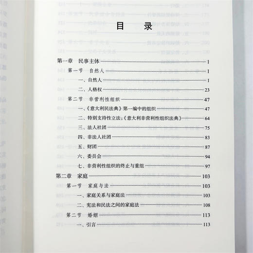 民事主体·家庭·继承(意大利民商法丛书) 商品图8