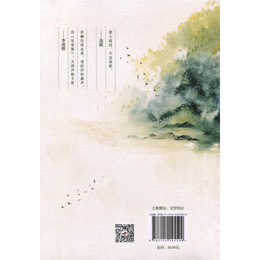 世间真相，不过绚烂烟花一场：柳永传 商品图1