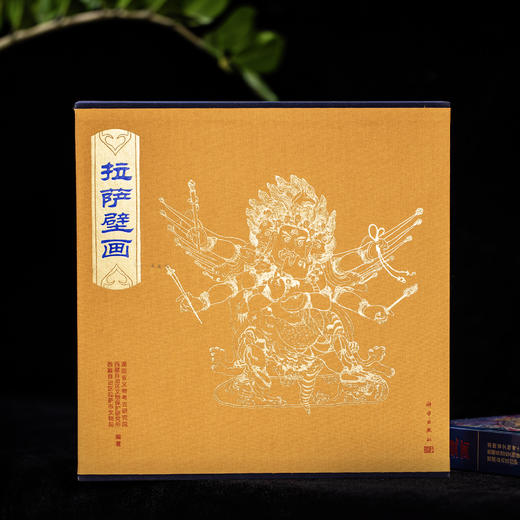 西藏壁画全集：拉萨壁画/9787030852465 商品图1