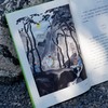 中信出版 | 徐霞客游记：名山插图珍藏版 商品缩略图2