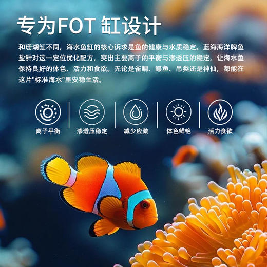 蓝海自营鱼盐 商品图1
