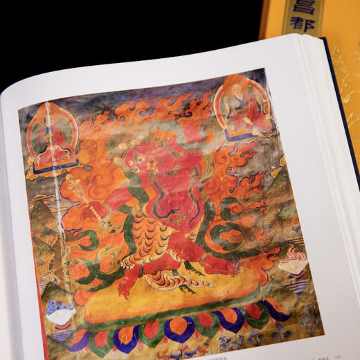 西藏壁画全集：昌都壁画/9787030852458 商品图10