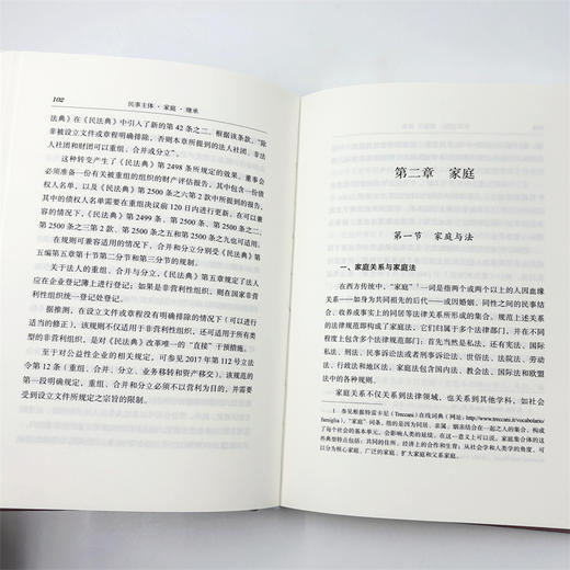 民事主体·家庭·继承(意大利民商法丛书) 商品图9