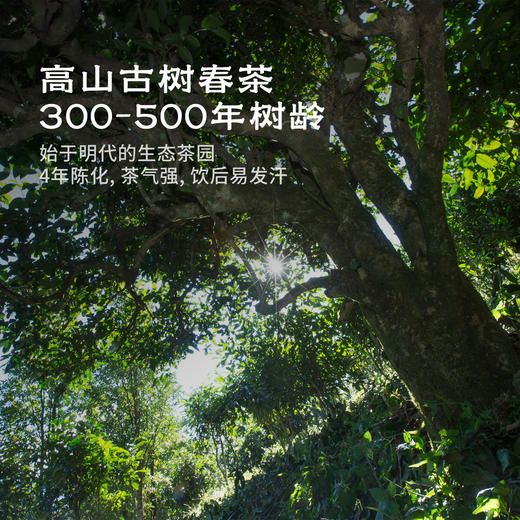 【茶品上新】富水·德昂酸茶 | 80g/盒丨行路茶系列 商品图1