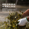 【茶品上新】富水·德昂酸茶 | 80g/盒丨行路茶系列 商品缩略图2