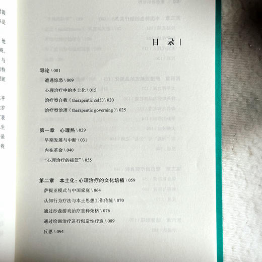 焦虑者的世界 薄荷实验 张鹂 心理咨询 摆脱焦虑自助书 商品图6