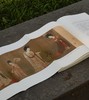 【签名本】《溯源：张彦远〈历代名画记〉的版本与成书》，签名本，韩刚著，16开，平装，300页，三晋出版社2026年7月一版一印。定价128，签名本96，普通版83元。 商品缩略图14