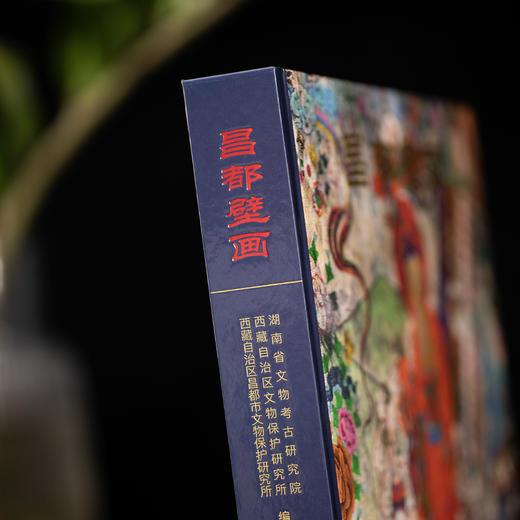 西藏壁画全集：昌都壁画/9787030852458 商品图3