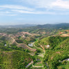 生态山茶油  古法冷榨 生态种植|念恩山 商品缩略图6