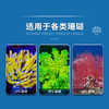 蓝海自营珊瑚盐 商品缩略图7
