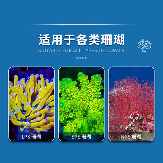 蓝海自营珊瑚盐 商品图7