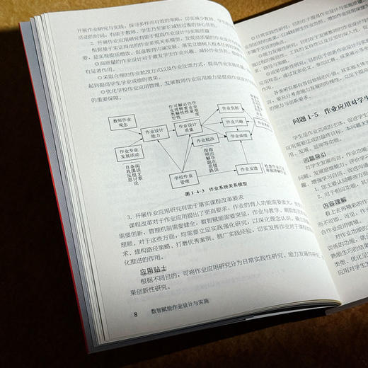 数智赋能作业设计与实施 张新宇 商品图11