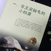 慢养一只龟：宠物龟饲养指南 商品缩略图2