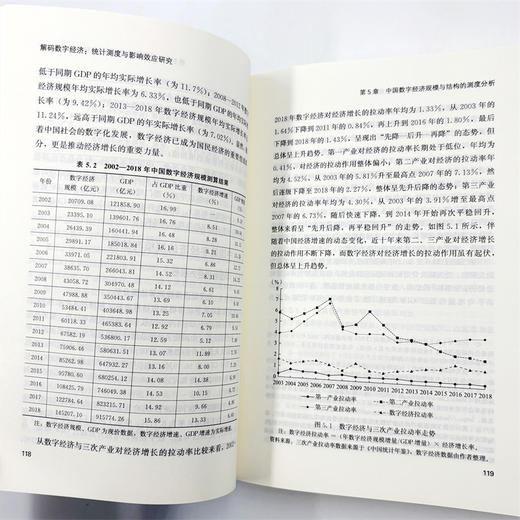 解码数字经济：统计测度与影响效应研究 商品图9
