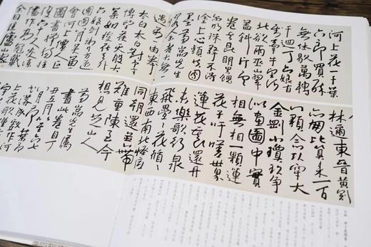 【绝版，仅15册】《八大山人书法全集》，平装，16开，一函一册，明 八大山人著，江西美术出版社2010年一版一印，423页，定价370，售价288元。 商品图8