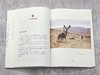 签名版《鹰图腾》摄汇万象书系 王晴著 浙江摄影出版社 商品缩略图9