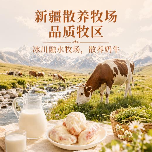 新疆特色奶芙杏 溯源新疆新疆黄杏 优质奶源奶香浓郁 配料干净营养放心吃 营养食光×笙观 零食糕点 商品图3