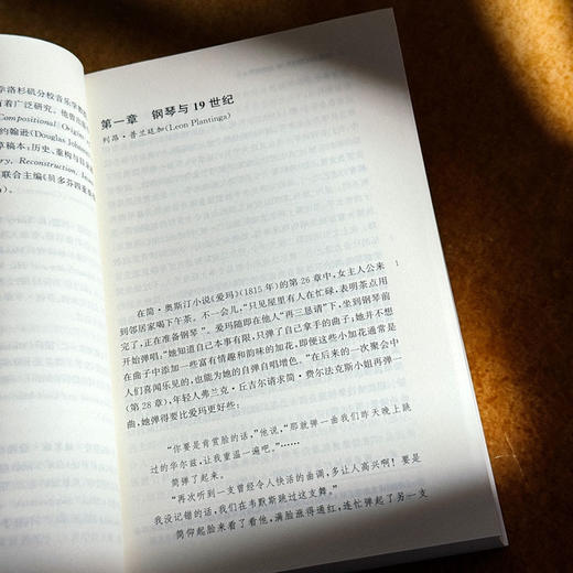 从音乐厅到沙龙 19世纪钢琴音乐 六点音乐译丛 商品图7