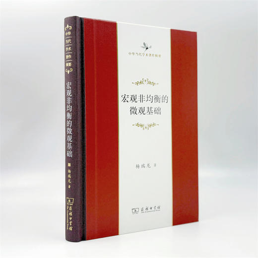 宏观非均衡的微观基础(中华当代学术著作辑要) 商品图4