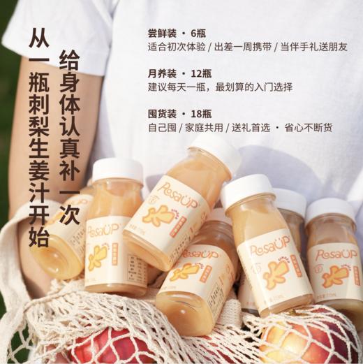 Rosa UP 刺梨生姜汁 | 贵州山野的一口酸甜辛暖，贵州刺梨× 生姜 × 苹果 × 针叶樱桃 商品图3