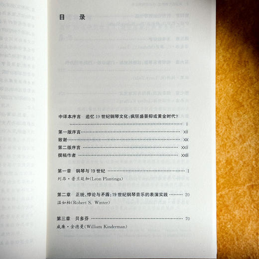 从音乐厅到沙龙 19世纪钢琴音乐 六点音乐译丛 商品图6