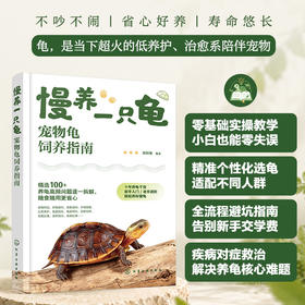 慢养一只龟：宠物龟饲养指南