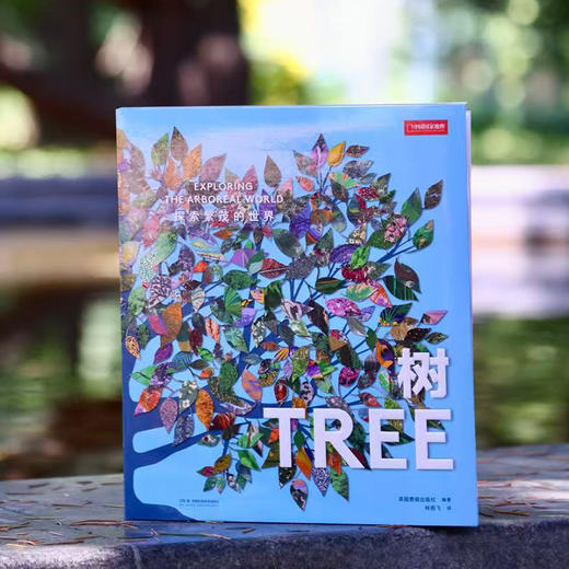 费顿艺术灵感画册：树：探索繁茂的世界，300余件作品感受树木之美 一本关于树的纸上博物馆 艺术画册 商品图6
