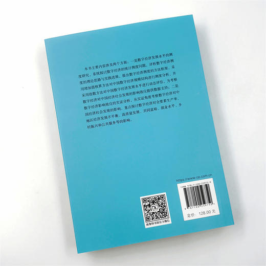 解码数字经济：统计测度与影响效应研究 商品图3