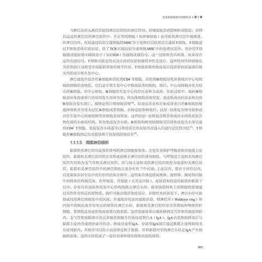 血液系统罕见疾病/“十四五”国家重点出版物出版规划项目/中国罕见病诊疗与转化医学研究系列(第一辑)/吴德沛 胡豫 商品图4
